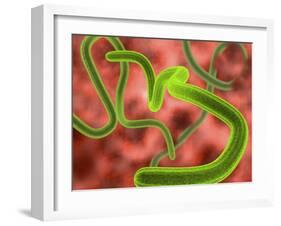 Ebola Virus Particles-Roger Harris-Framed Photographic Print