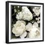 Ebony Blooms-Alan Lambert-Framed Giclee Print