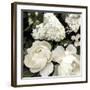 Ebony Blooms-Alan Lambert-Framed Giclee Print