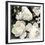 Ebony Blooms-Alan Lambert-Framed Giclee Print