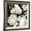 Ebony Blooms-Alan Lambert-Framed Giclee Print