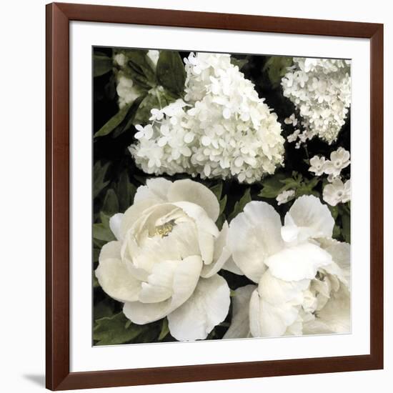 Ebony Blooms-Alan Lambert-Framed Giclee Print