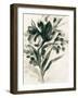 Ebony Bouquet I-June Vess-Framed Art Print