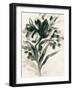 Ebony Bouquet I-June Vess-Framed Art Print