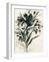 Ebony Bouquet I-June Vess-Framed Art Print