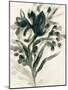 Ebony Bouquet I-June Vess-Mounted Art Print