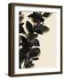 Ebony Branch I-Annie Warren-Framed Art Print