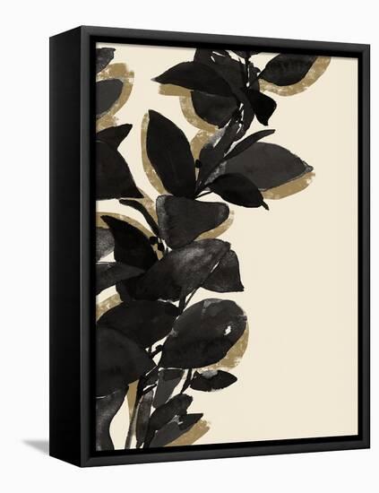 Ebony Branch I-Annie Warren-Framed Stretched Canvas