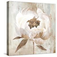 Ebony Floral II-Aria K-Stretched Canvas