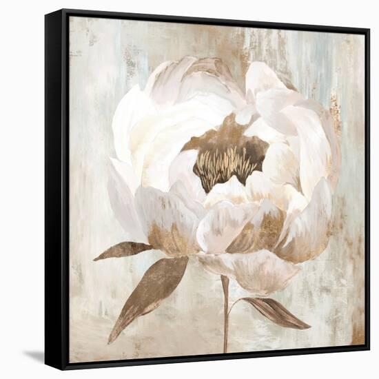 Ebony Floral II-Aria K-Framed Stretched Canvas