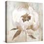 Ebony Floral II-Aria K-Stretched Canvas