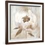 Ebony Floral II-Aria K-Framed Art Print