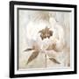 Ebony Floral II-Aria K-Framed Art Print