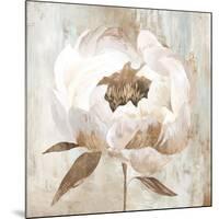 Ebony Floral II-Aria K-Mounted Art Print