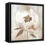Ebony Floral II-Aria K-Framed Stretched Canvas