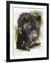 Ebony-Barbara Keith-Framed Giclee Print