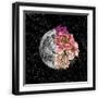 Black Frame