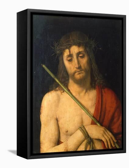 Ecce Homo, 1505-1506-Andrea Solari-Framed Stretched Canvas