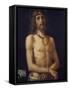 Ecce homo-Bartolomeo Montagna-Framed Stretched Canvas