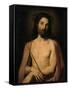 Ecce Homo-Karel Dujardin-Framed Stretched Canvas