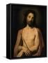 Ecce Homo-Karel Dujardin-Framed Stretched Canvas