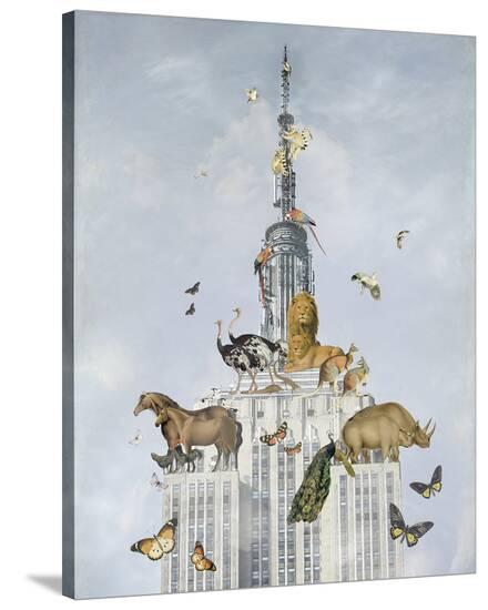 Stretched Canvas Print, , large