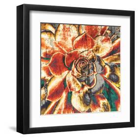 Echeveria Elegans-null-Framed Art Print