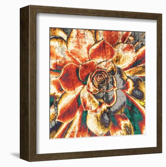 Echeveria Elegans-null-Framed Art Print