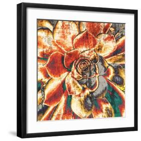 Echeveria Elegans-null-Framed Art Print