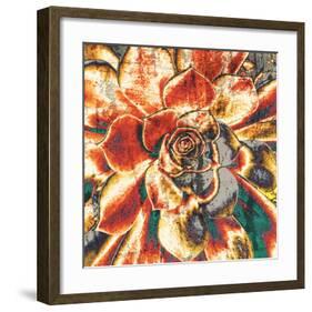 Echeveria Elegans-null-Framed Art Print