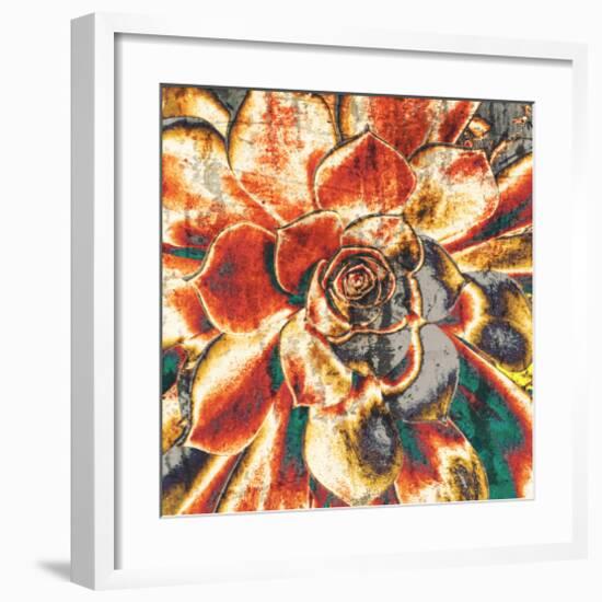 Echeveria Elegans-null-Framed Art Print