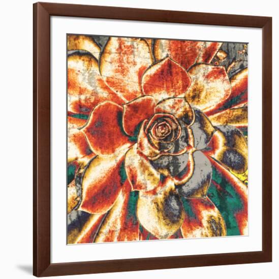 Echeveria Elegans-null-Framed Art Print