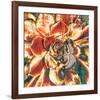 Echeveria Elegans-null-Framed Art Print