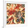 Echeveria Elegans-null-Framed Art Print