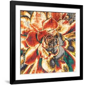 Echeveria Elegans-null-Framed Art Print