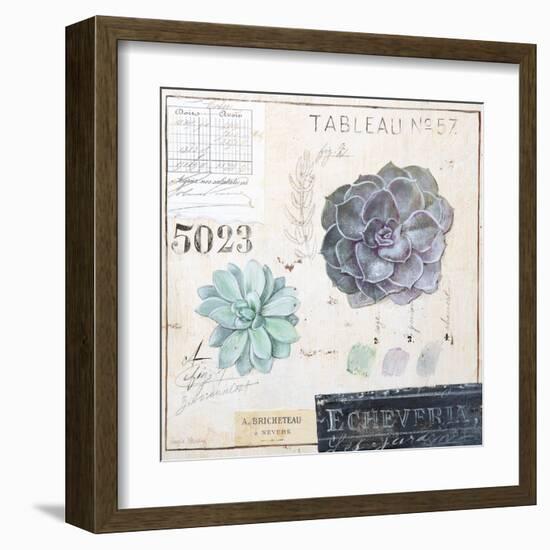 Echeveria…Sketchbook-Angela Staehling-Framed Art Print