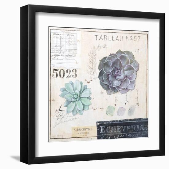 Echeveria…Sketchbook-Angela Staehling-Framed Art Print