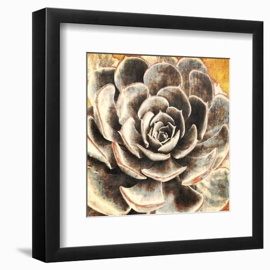 Echeveria-null-Framed Art Print