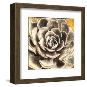 Echeveria-null-Framed Art Print