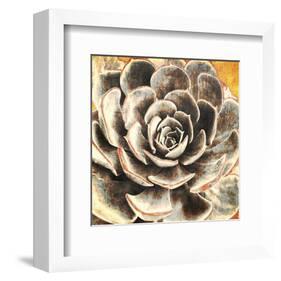 Echeveria-null-Framed Art Print