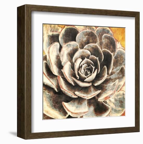 Echeveria-null-Framed Art Print