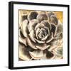 Echeveria-null-Framed Art Print