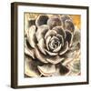 Echeveria-null-Framed Art Print