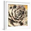 Echeveria-null-Framed Art Print