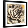 Echeveria-null-Framed Art Print