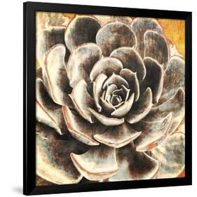 Echeveria-null-Framed Art Print