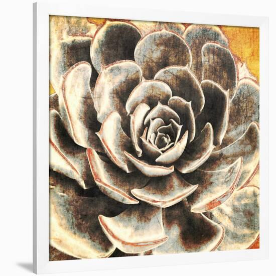 Echeveria-null-Framed Art Print