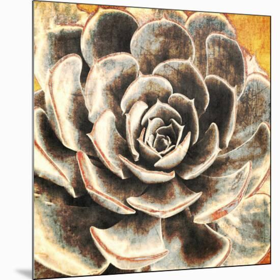 Echeveria-null-Mounted Art Print