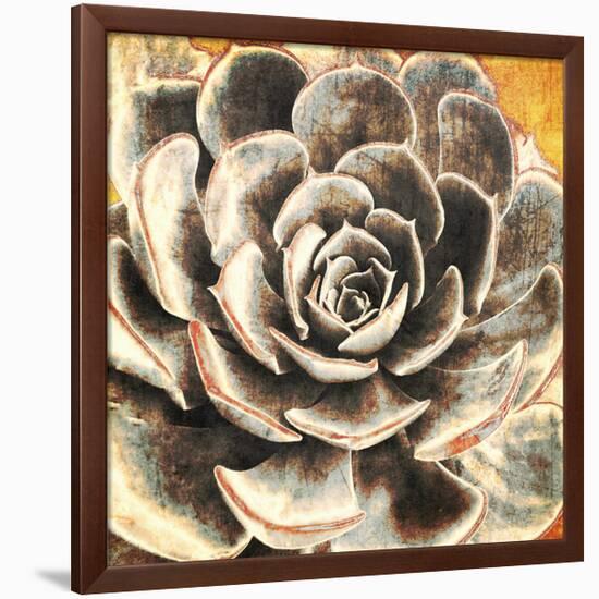 Echeveria-null-Framed Art Print