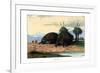 Echidna, 1860-null-Framed Giclee Print